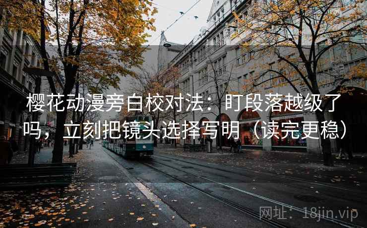 樱花动漫旁白校对法：盯段落越级了吗，立刻把镜头选择写明（读完更稳）